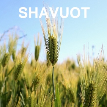Shavuot – Festival of the Harvests
